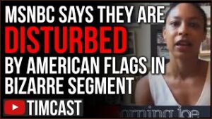 NYT Staff On MSNBC Denounces American Flags As Disturbing, Democrats Don't Share Reality With GOP