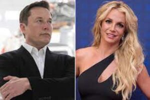 Elon Musk Calls for Court to 'Free Britney'