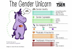 Colorado School District Instructs Teachers Not to Tell Parents if Child Exhibits 'Gender Confusion'