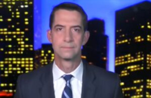 Sen. Tom Cotton Says Dems Will Have to Answer to Voters About 'Indoctrinating' Children With CRT
