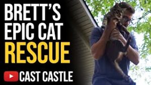 Brett's EPIC cat Rescue