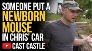 Someone Put A Newborn Mouse In Chris' Car