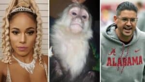Texas Coach and Girlfriend Face Lawsuit Over Pet Monkey