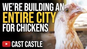 We're Building An Entire City For CHICKENS
