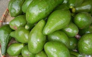 US Halts Import of Mexican Avocados After Threat From Drug Cartel