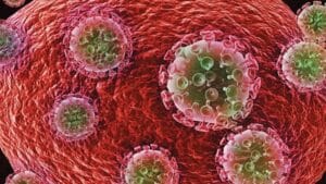 Stem Cell Transplant Cures Woman of HIV