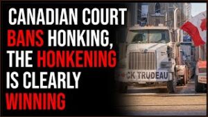 Canadian Court BANS Honking, The HONKENING Is Clearly Winning