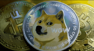 AMC Will Accept Dogecoin and Shiba Inu Coin, Use BitPay This Spring