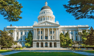 California Considers Proposal to End Review of Pregnancy-Related Fetal Deaths