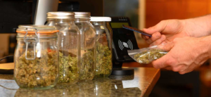 Recreational Marijuana Sales Begin in New Jersey