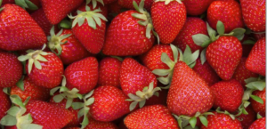 FDA Recalls Organic Strawberries Following Hepatitis Outbreak