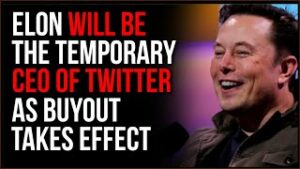 Elon Musk Will Serve As Temporary CEO Of Twitter