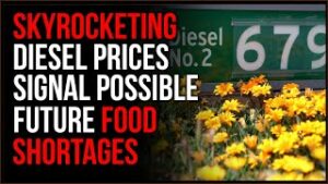 RECORD Diesel Prices Could Lead To Catastrophic Food Shortages