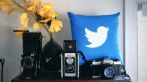 Twitter's New Head Of Trust And Safety Provides General Amnesty Update
