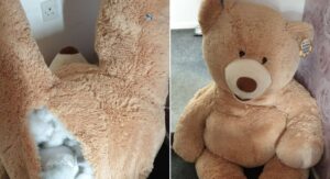 UK Car Thief Busted While Hiding Inside of Giant Stuffed Bear