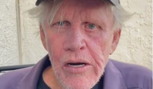 Gary Busey Charged With Criminal Sexual Contact Over Multiple Alleged Assaults at Horror Convention