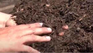 California Governor Newsom Signs Bill That Legalizes Composting Human Remains