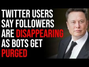 The Purge Has Begun, Twitter Users Say Followers Are Disappearing As Bots Get Purged