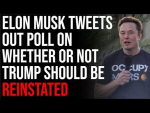 Elon Musk Tweets Out Poll On Whether Or Not Trump Should Be Reinstated