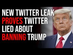 New Twitter Leak PROVES Twitter Lied About Banning Trump, Elon Musk GOES OFF