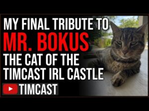My Final Tribute To Mr. Bokus, Our Cat Is Nearing The End, We Love Him And Want To Say Goodbye