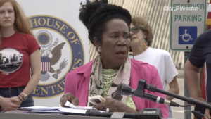 Texas Congresswoman Introduces Bill Combatting 'White Supremacy Inspired Hate Crimes'