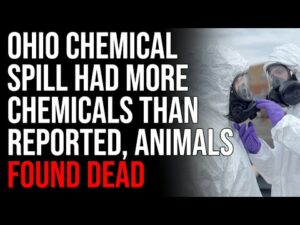 Ohio Chemical Spill Had MORE Chemicals Than Reported, ANIMALS FOUND DEAD