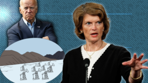Bipartisan Alaska Delegation Pleads With Biden To Allow Major Drilling Project To Continue