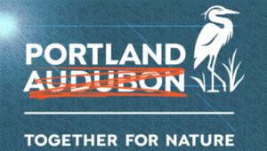 Portland Bird Conservation Group Drops 'Audubon’ from Name, Cites Racism and Slavery