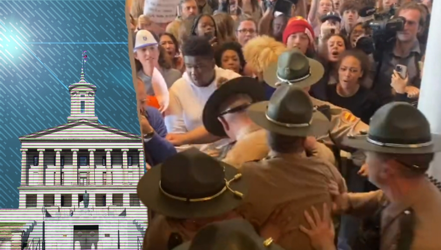 BREAKING: Anti-Second Amendment Activists Storm Tennessee State Capitol (VIDEOS)