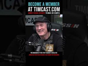Timcast IRL - Arrest Sexual Deviants To Make An Example #shorts