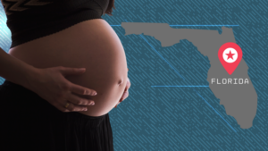 Florida Senate Passes 6-Week Abortion Ban
