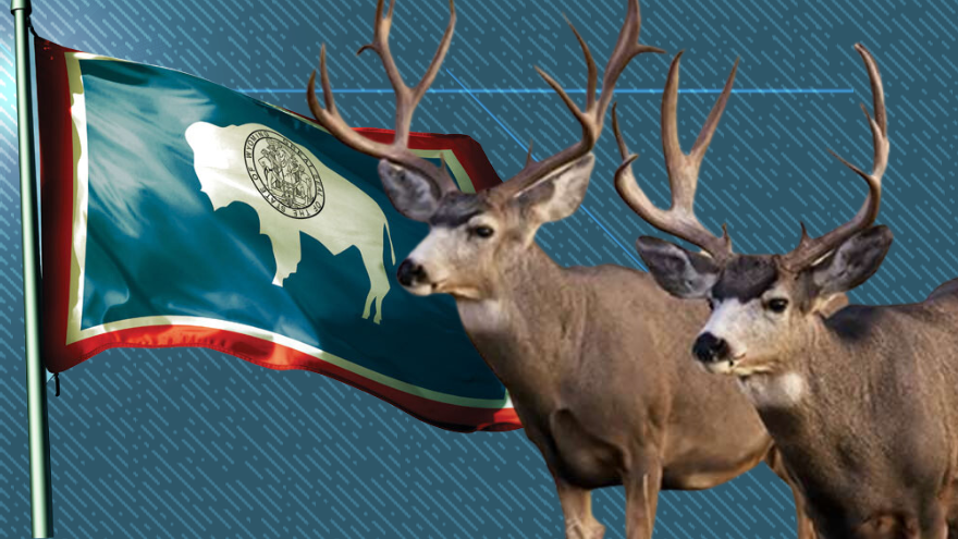 Wyoming Prepares for Restricted Hunting Season after the Death of 80% ...