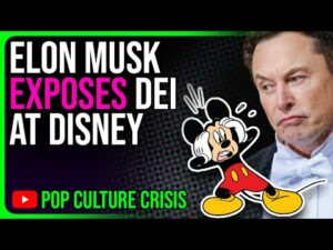 Elon Musk EXPOSES Disney's SECRET DEI Hiring Practices