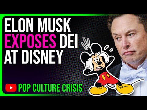 Elon Musk EXPOSES Disney's SECRET DEI Hiring Practices | TIMCAST