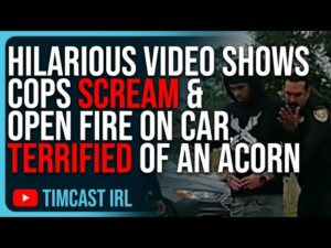 Hilarious Video Shows Cops SCREAM &amp; OPEN FIRE On Vehicle, TERRIFIED Of An Acorn