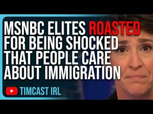 MSNBC Elites ROASTED For Being Out Of Touch, SHOCKED That People Care About Immigration