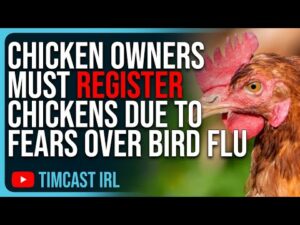 Chicken Owners MUST Register Chickens Due To FEARS Over Bird Flu