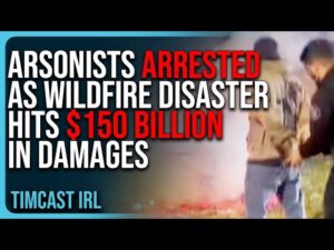 ARSONISTS ARRESTED In LA As Wildfire Disaster Hits $150 BILLION In Damages