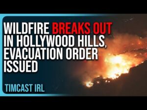 Wildfire BREAKS OUT In Hollywood Hills, Evacuation Order Issued