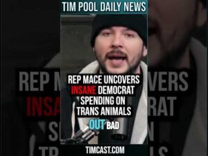 Rep Mace Uncovers INSANE Democrat Spending On Trans Animals #shorts