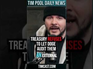 Treasury REFUSES To Let DOGE Audit Them #shorts