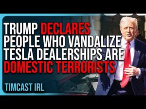 Trump DECLARES People Who VANDALIZE Tesla Dealerships Are DOMESTIC TERRORISTS