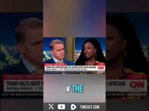 CNN Anchor's RIDICULOUS Argument