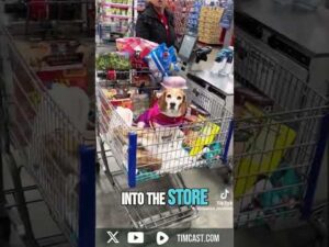 Dude BLASTS Lady For Bringing Dog Into Walmart