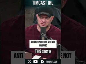 Anti ICE Protests Are NOT Organic
