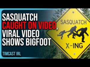 SASQUATCH CAUGHT ON VIDEO, Viral Video Shows Bigfoot