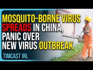 Mosquito-Borne Virus Spreads In China, Panic Erupts Over New Virus Outbreak