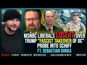 MSNBC Liberals LOSE IT Over Trump “Fascist Takeover Of DC”, Probe Into Schiff ft. Sebastian Gorka