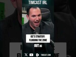 ICE's Strategy: Flooding The Zone